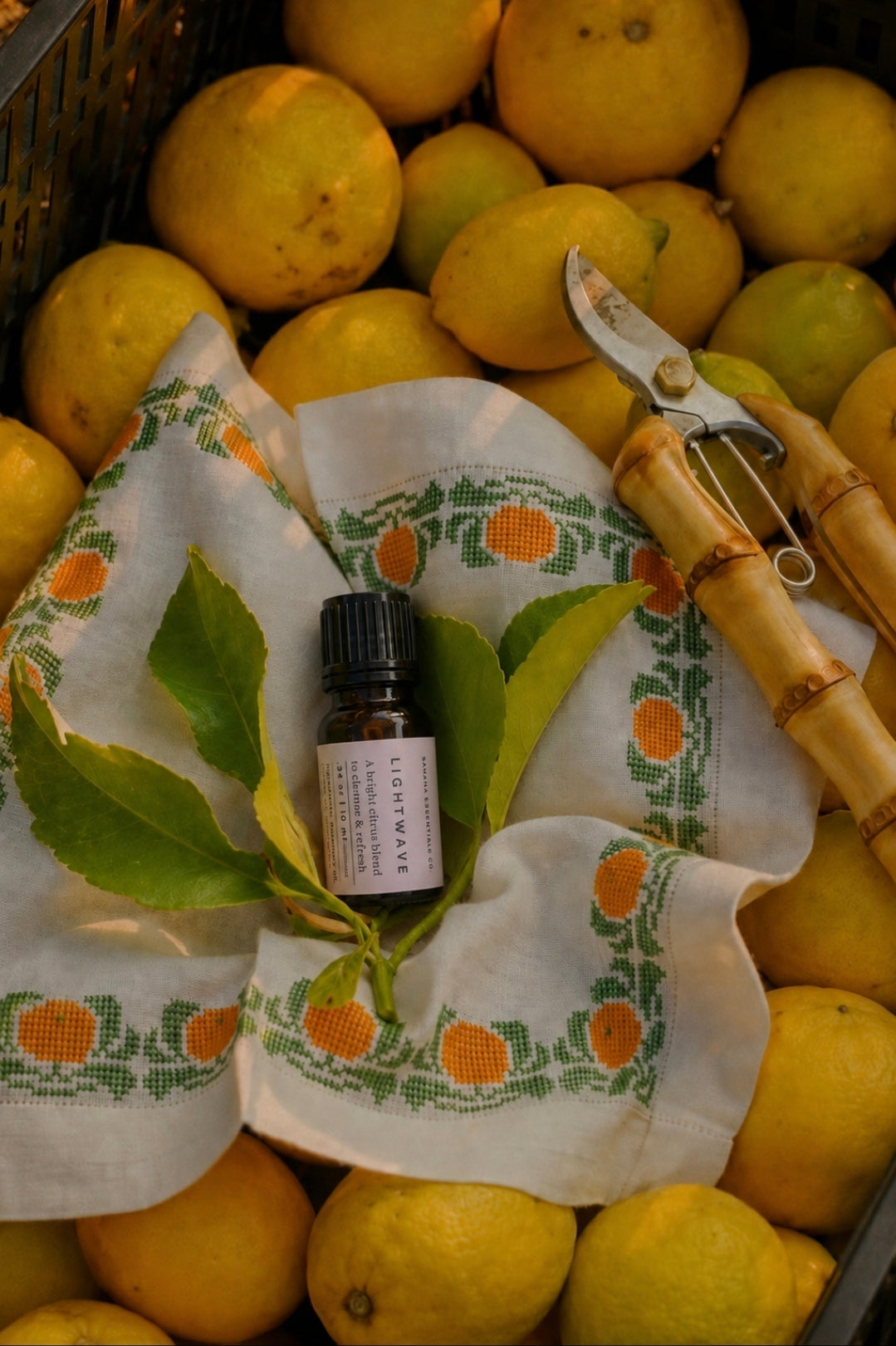 Lightwave | Essential Oil Diffuser Blend